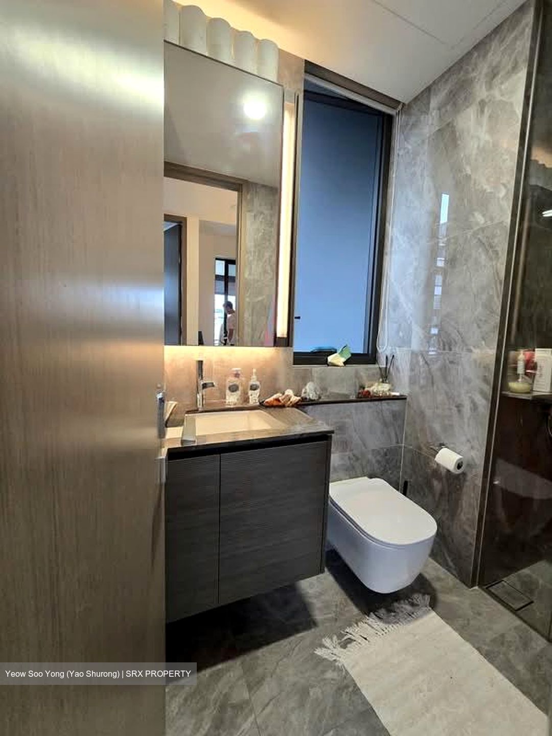 Leedon Green (D10), Condominium #574468711